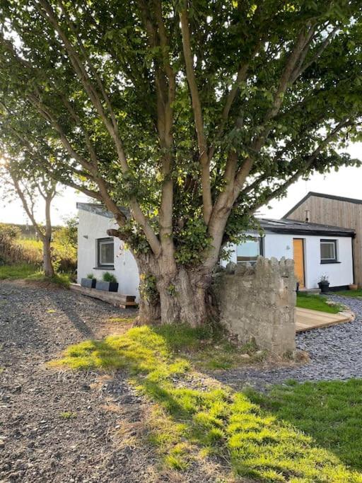 Tranquil, Secluded, Rural Cottage For Two Beaumaris Exterior foto